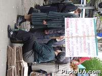 Участница митинга-протеста против решения Верховного Совета Украины об отставке правительства В. Ющенко на углу Банковой и Институтской