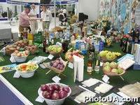 Экспозиция продукции лучших украинских производителей, посвященная 10-й годовщине Независимости Украины (Национальный выставочный центр, г. Киев)
