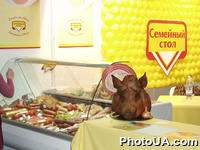 В Киеве проходит Всеукраинская сельскохозяйственная выставка "Продовольственный рынок Украины - 2002". Продукция мясоперерабатывающей отрасли. На фото: свинная голова