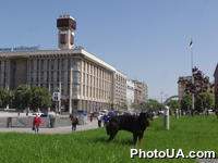 Майдан Незалежности в городе Киеве