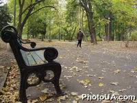 Осень