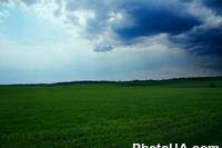 Пейзаж.Україна.Черкаська область.