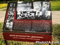 Доля футболістів "Динамо".