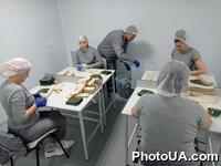 Престур компанії "Сента Фарм" на виробництво українського "Гемостатика" та ознайомлення з технологією виготовлення